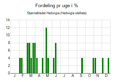 Stjernebladet Hedwigia - ugentlig fordeling