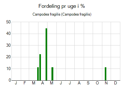 Campodea fragilis - ugentlig fordeling
