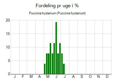 Puccinia hysterium - ugentlig fordeling