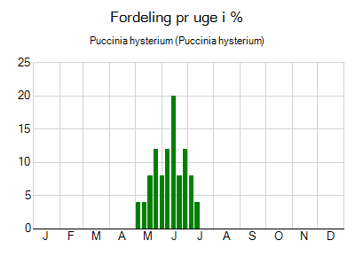 Puccinia hysterium - ugentlig fordeling