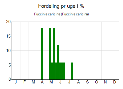 Puccinia caricina - ugentlig fordeling