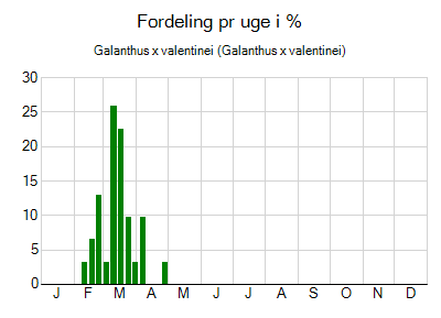 Galanthus x valentinei - ugentlig fordeling