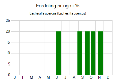 Lachesilla quercus - ugentlig fordeling