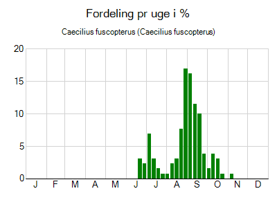 Caecilius fuscopterus - ugentlig fordeling