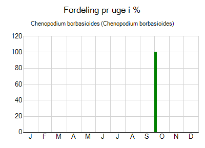 Chenopodium borbasioides - ugentlig fordeling