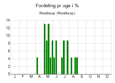 Morellia sp. - ugentlig fordeling