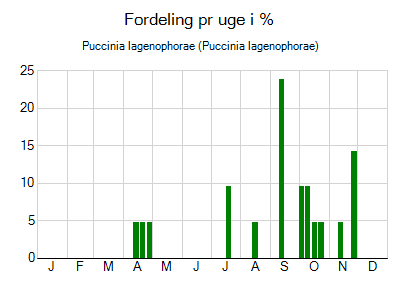 Puccinia lagenophorae - ugentlig fordeling