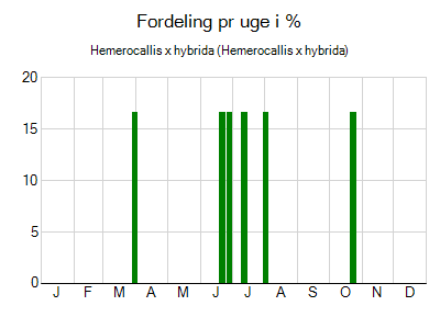 Hemerocallis x hybrida - ugentlig fordeling