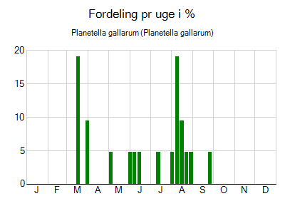 Planetella gallarum - ugentlig fordeling