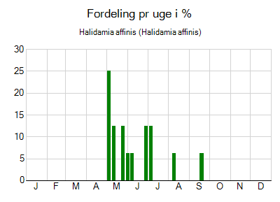 Halidamia affinis - ugentlig fordeling