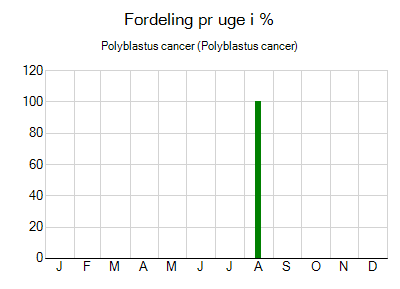 Polyblastus cancer - ugentlig fordeling