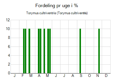 Torymus cultriventris - ugentlig fordeling