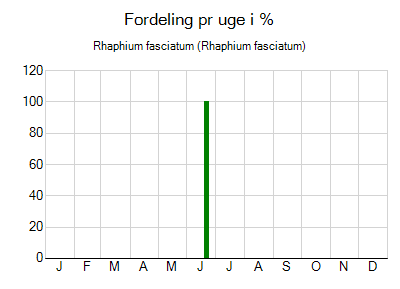 Rhaphium fasciatum - ugentlig fordeling