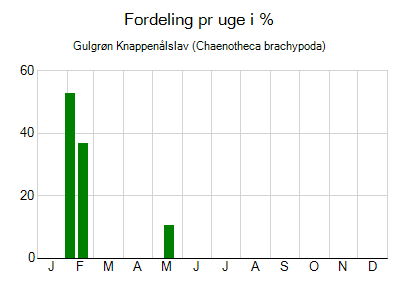Gulgrøn Knappenålslav - ugentlig fordeling