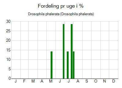 Drosophila phalerata - ugentlig fordeling