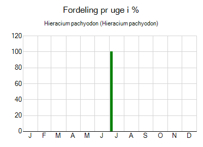 Hieracium pachyodon - ugentlig fordeling