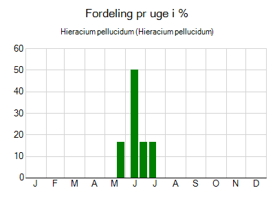 Hieracium pellucidum - ugentlig fordeling