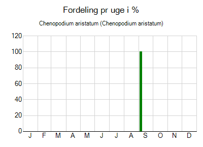 Chenopodium aristatum - ugentlig fordeling