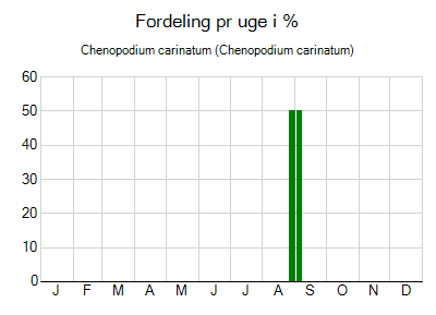 Chenopodium carinatum - ugentlig fordeling