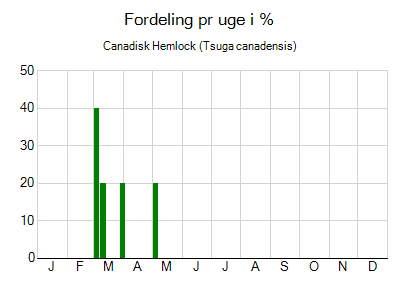 Canadisk Hemlock - ugentlig fordeling
