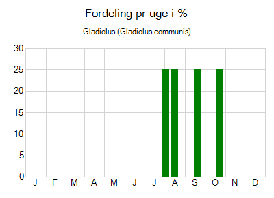 Gladiolus - ugentlig fordeling