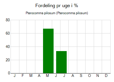 Pterocomma pilosum - ugentlig fordeling