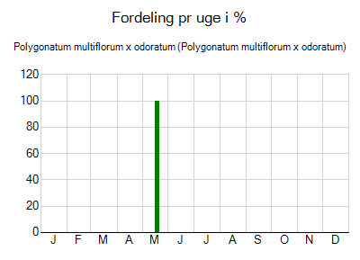 Polygonatum multiflorum x odoratum - ugentlig fordeling