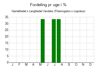 Hjertebladet x Langbladet Vandaks - ugentlig fordeling