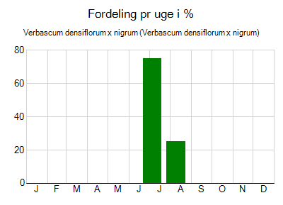 Verbascum densiflorum x nigrum - ugentlig fordeling