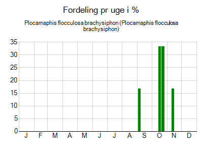 Plocamaphis flocculosa brachysiphon - ugentlig fordeling