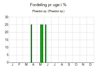 Phaedon sp. - ugentlig fordeling