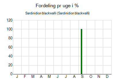 Sardinidion blackwalli - ugentlig fordeling