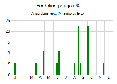 Amaurobius ferox - ugentlig fordeling