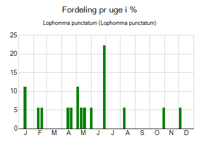 Lophomma punctatum - ugentlig fordeling
