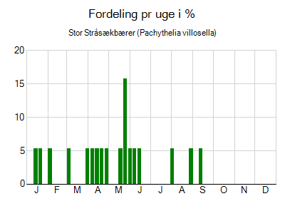 Stor Stråsækbærer - ugentlig fordeling