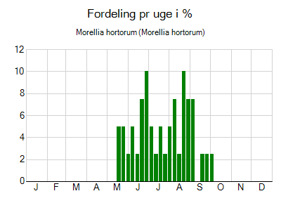 Morellia hortorum - ugentlig fordeling
