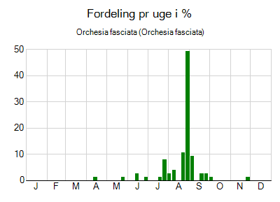 Orchesia fasciata - ugentlig fordeling