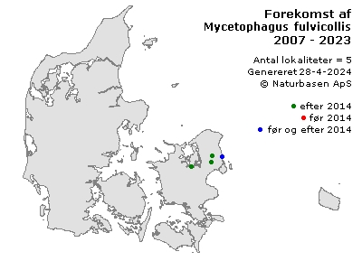 Mycetophagus fulvicollis - udbredelseskort