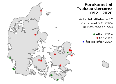 Typhaea stercorea - udbredelseskort