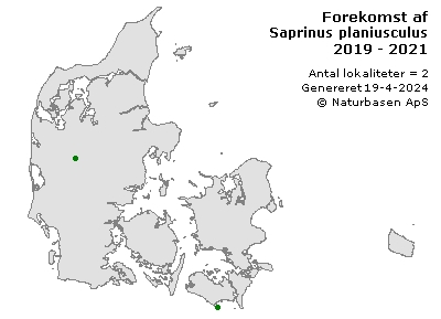 Saprinus planiusculus - udbredelseskort
