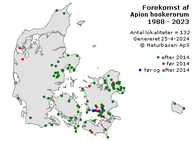 Apion hookerorum - udbredelseskort