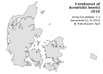 Acrotrichis henrici - udbredelseskort