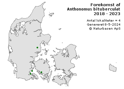 Anthonomus bituberculatus - udbredelseskort