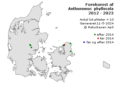 Anthonomus phyllocola - udbredelseskort