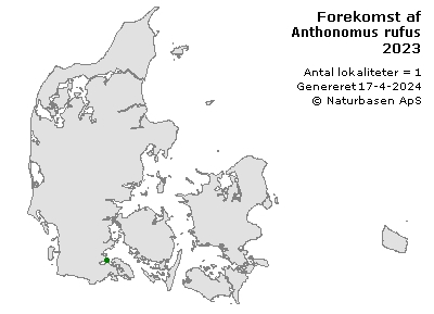 Anthonomus rufus - udbredelseskort