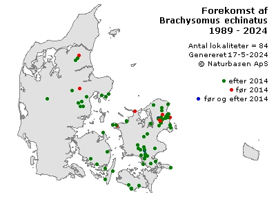 Brachysomus echinatus - udbredelseskort
