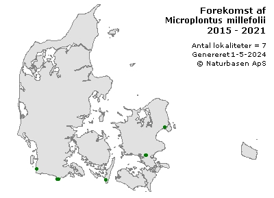 Microplontus millefolii - udbredelseskort