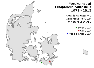 Ernoporicus caucasicus - udbredelseskort
