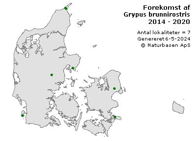 Grypus brunnirostris - udbredelseskort