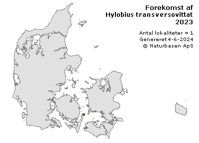 Hylobius transversovittatus - udbredelseskort